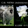 C.I.B. YVETKA Litonick tvrz