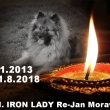 CH. IRON LADY  Re-Jan Moravia