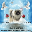 GCH. Nevastar VALS SEREBRYANYH TENEY