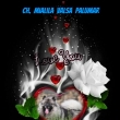 CH. MIALILA VALSA Palumar