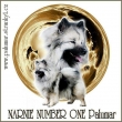 GCH. NARNIE NUMBER ONE  Palumar