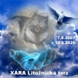 XARA  Litonick tvrz